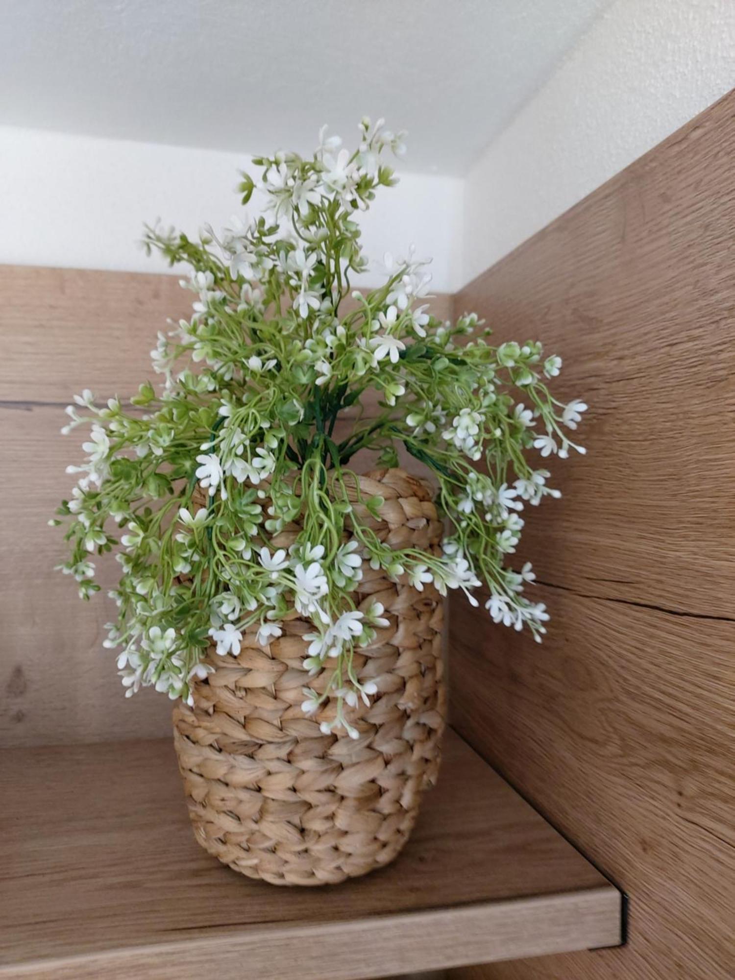 Albi Haus Winterberg 아파트 외부 사진